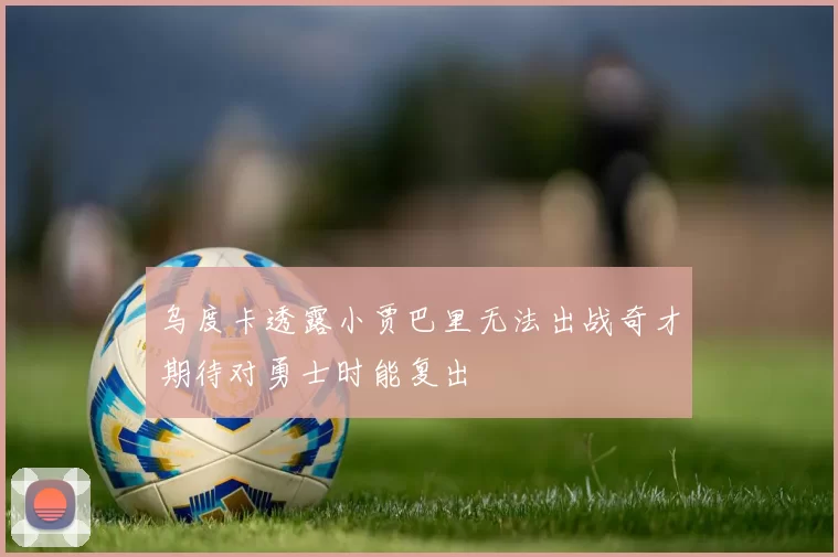 乌度卡透露小贾巴里无法出战奇才期待对勇士时能复出